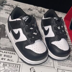 4c Nike Dunks